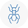 Ant Removals In Spelthorne