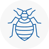 Bed Bug Extermination In Spelthorne