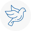 Bird Prevention Spelthorne
