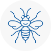 Spelthorne Hornet Nest Removals