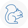 Spelthorne Rodent Removals