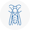 Spelthorne Wasp Nest Removal
